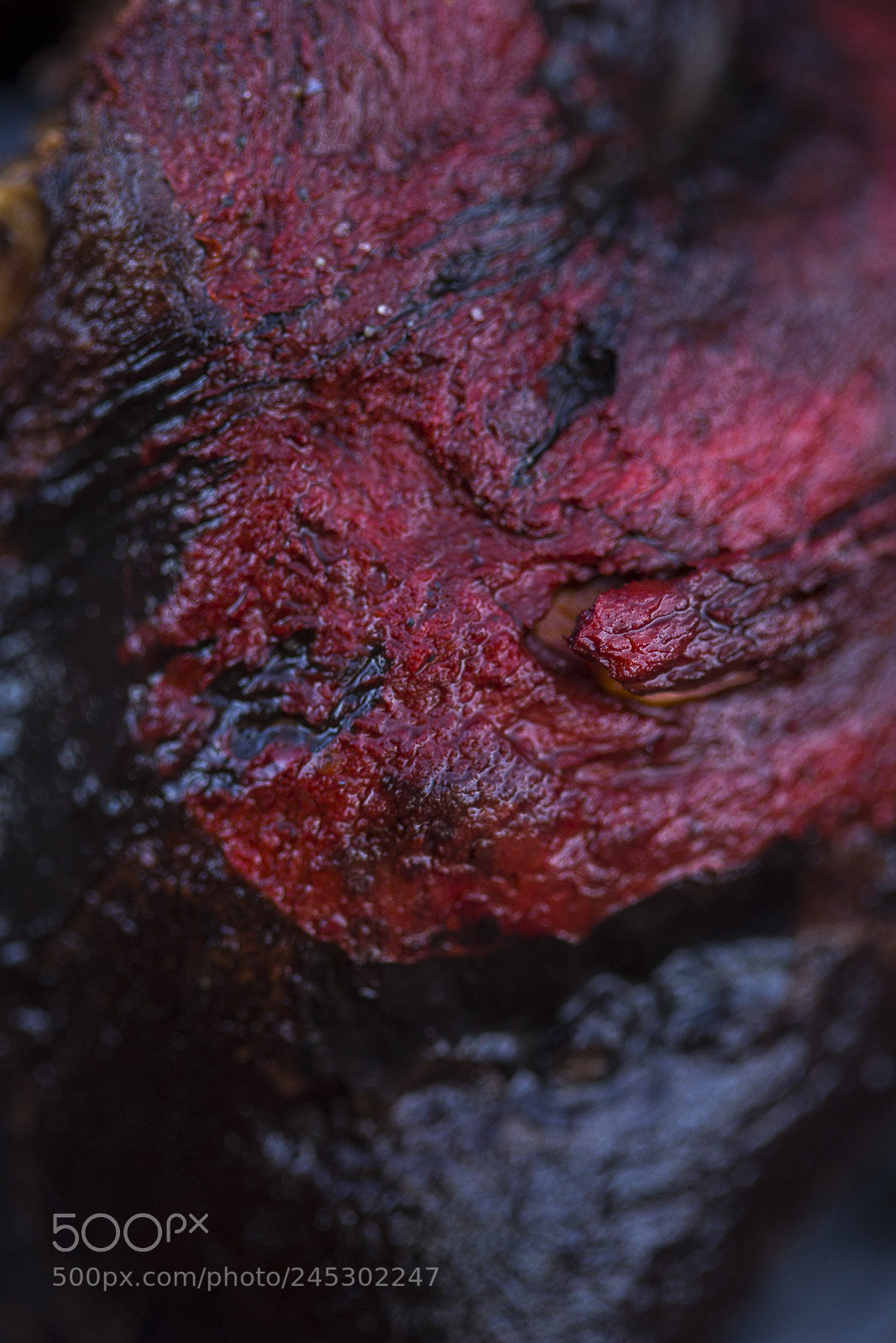 Canon EOS 60D sample photo. Carne de madera photography