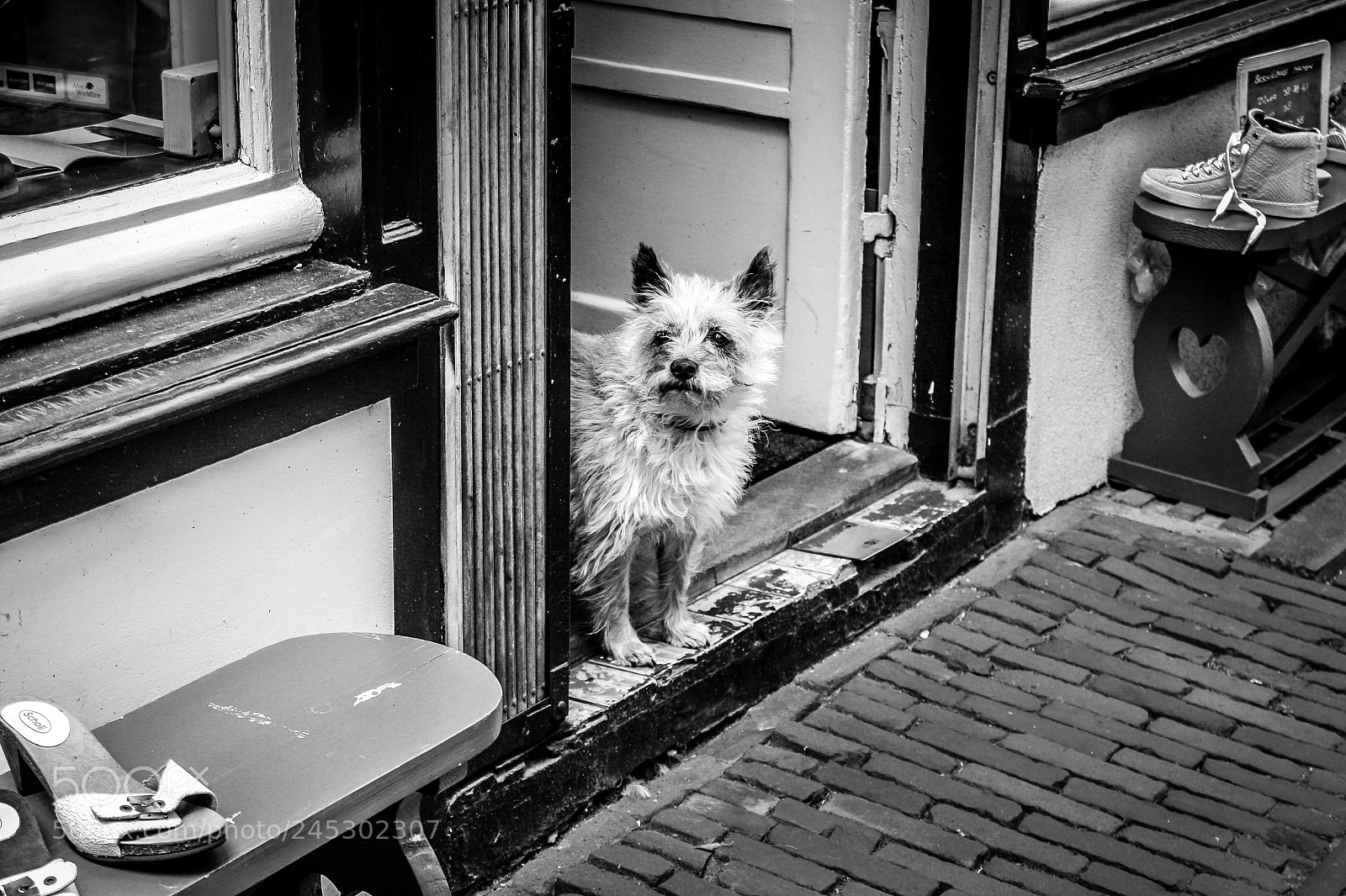 Canon EOS 30D sample photo. Anybody home? photography