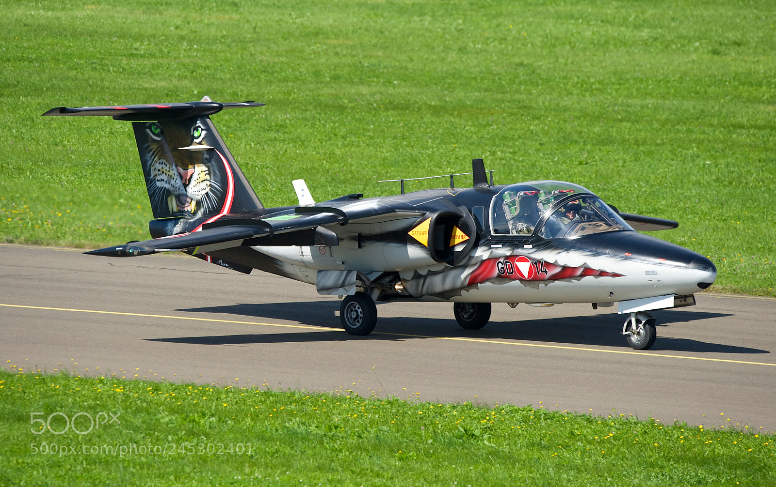 Nikon D3 sample photo. Tiger-saab 105 photography