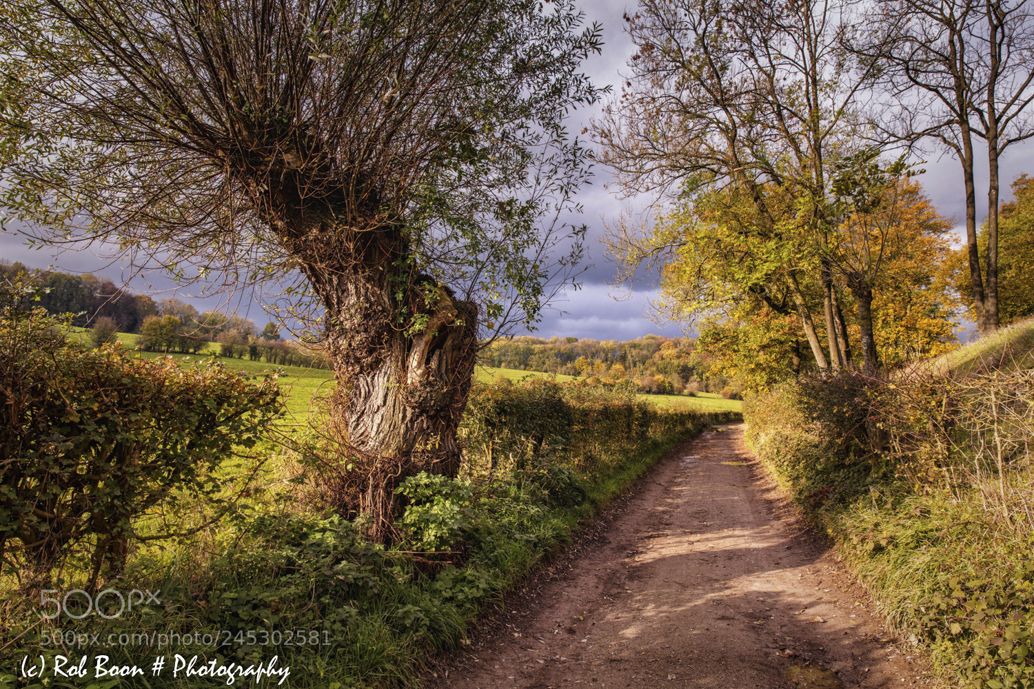 Canon EOS 5DS sample photo. Autumn colours @ gerendal 4 photography