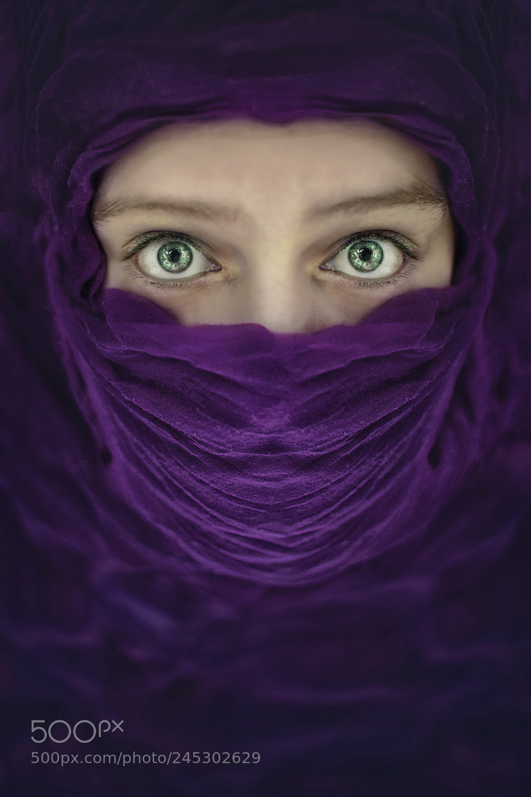 Nikon D5100 sample photo. Arabic violet photography
