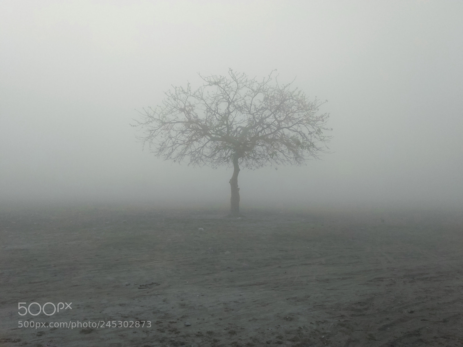 Xiaomi Redmi Note 4 sample photo. Winter photography