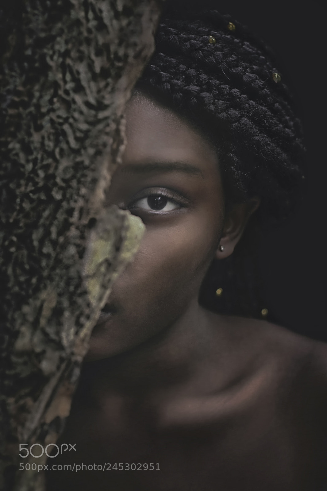 Nikon D5100 sample photo. Forest photography