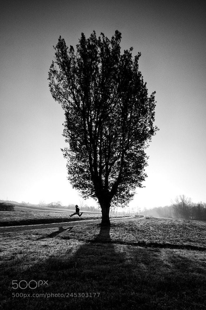 Nikon D300 sample photo. Long shadows photography