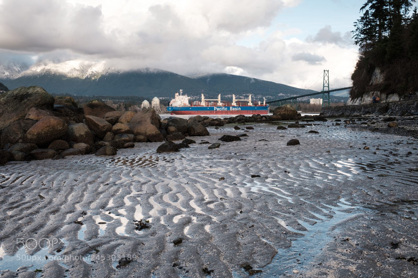 Fujifilm X-Pro2 sample photo. Cargo ship enters vancouver photography