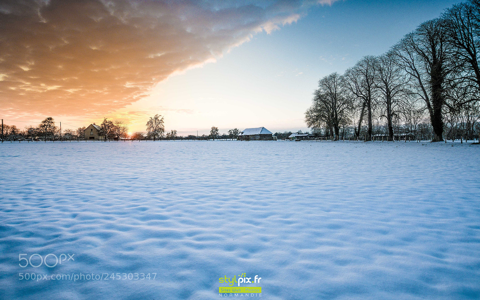 Nikon D500 sample photo. La mer de neige photography