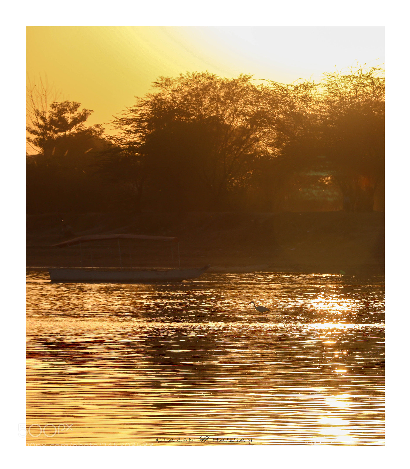 Canon EOS 760D (EOS Rebel T6s / EOS 8000D) sample photo. The golden hour photography
