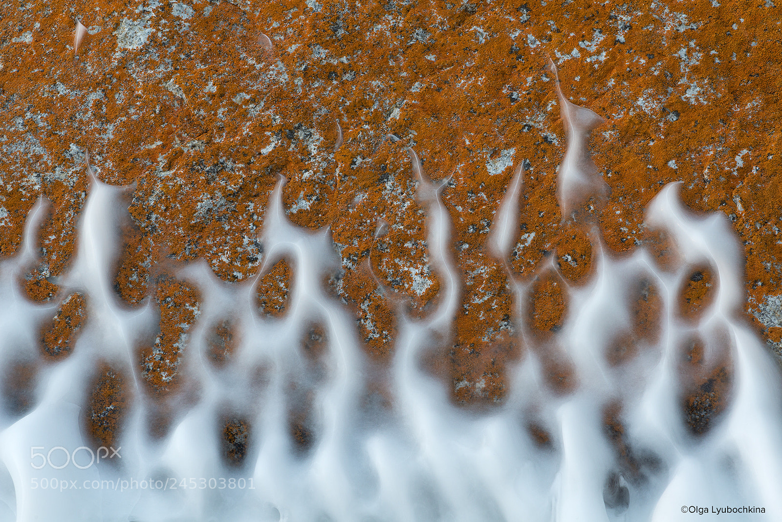 Nikon D800 sample photo. Icy fire on the photography