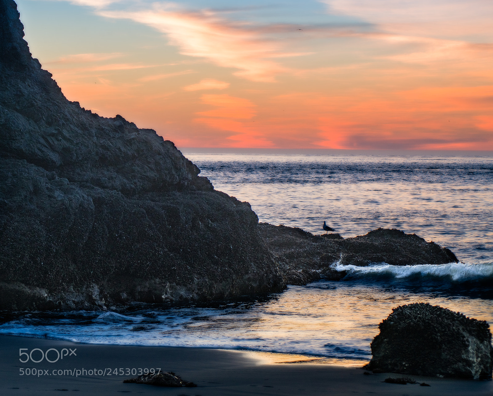 Nikon D850 sample photo. Pacific photography