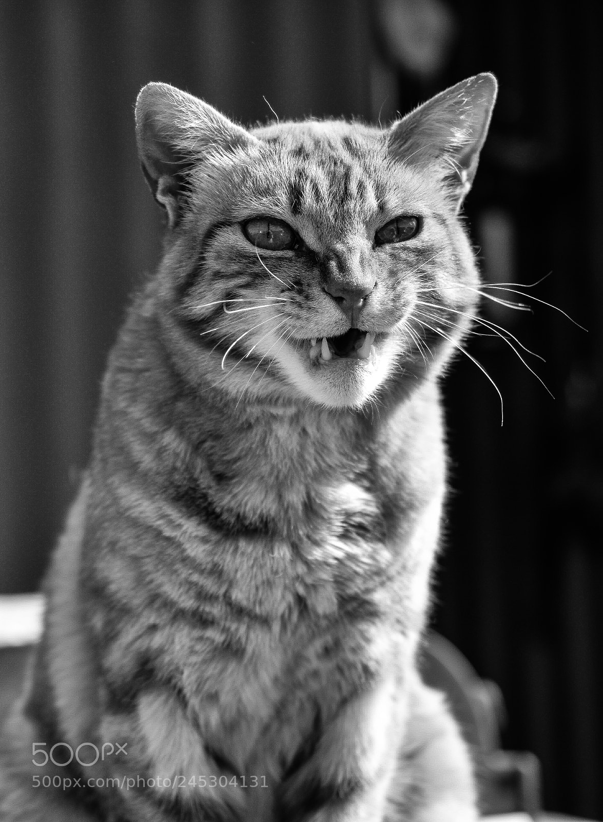 Nikon D7100 sample photo. Just in the right photography