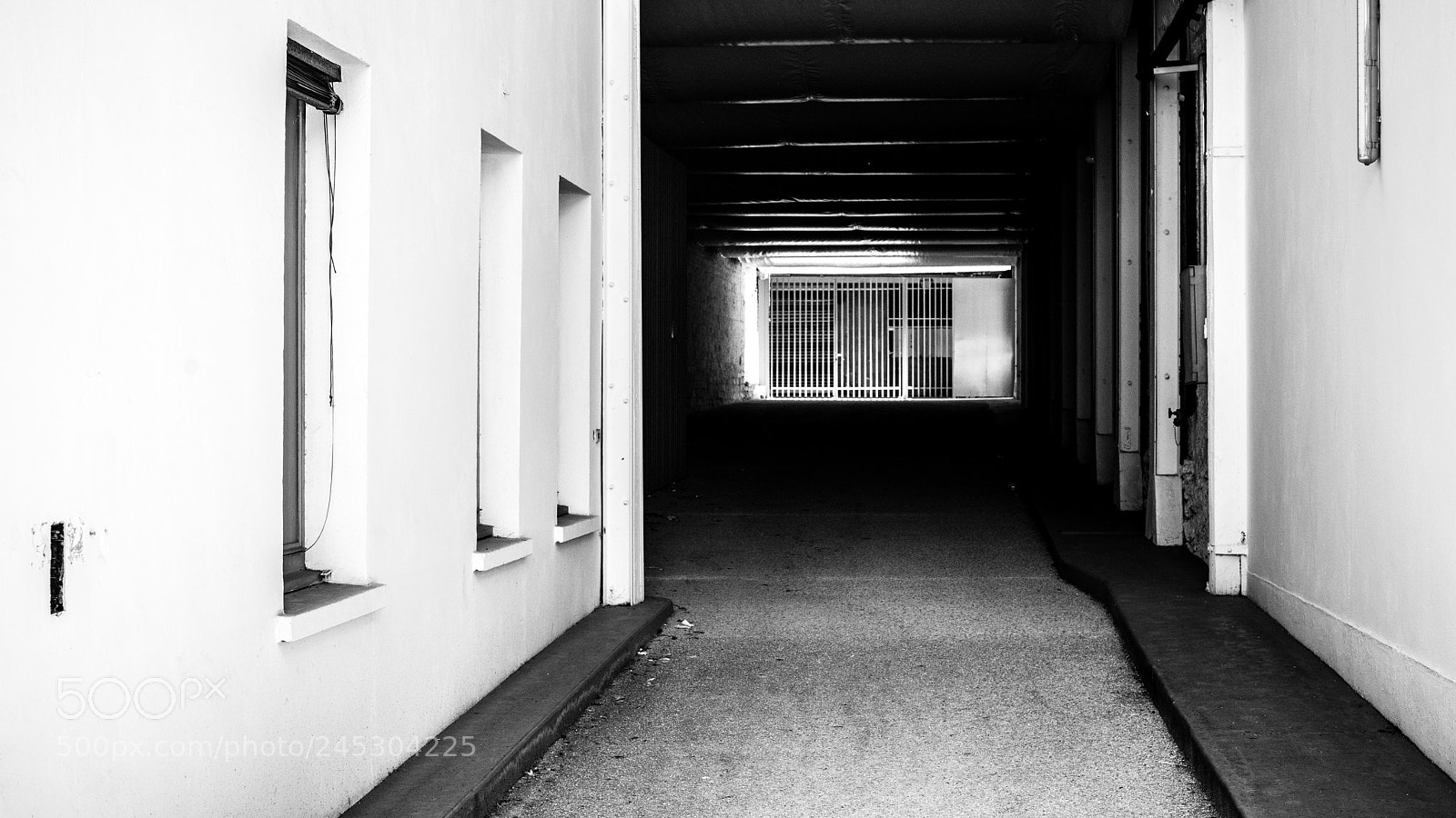 Pentax K-1 sample photo. Untitled photography