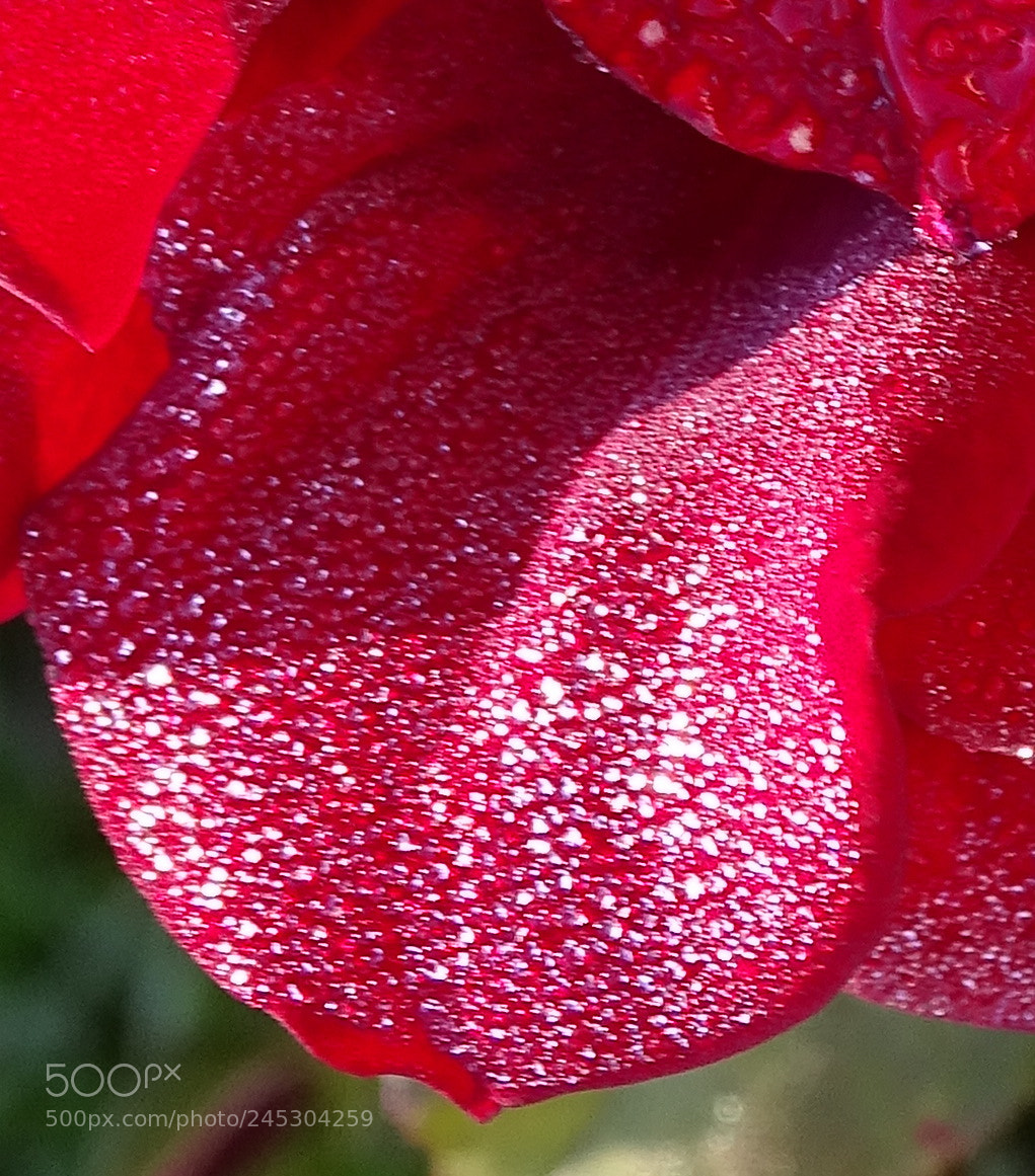 Sony Cyber-shot DSC-HX400V sample photo. Dsc photography