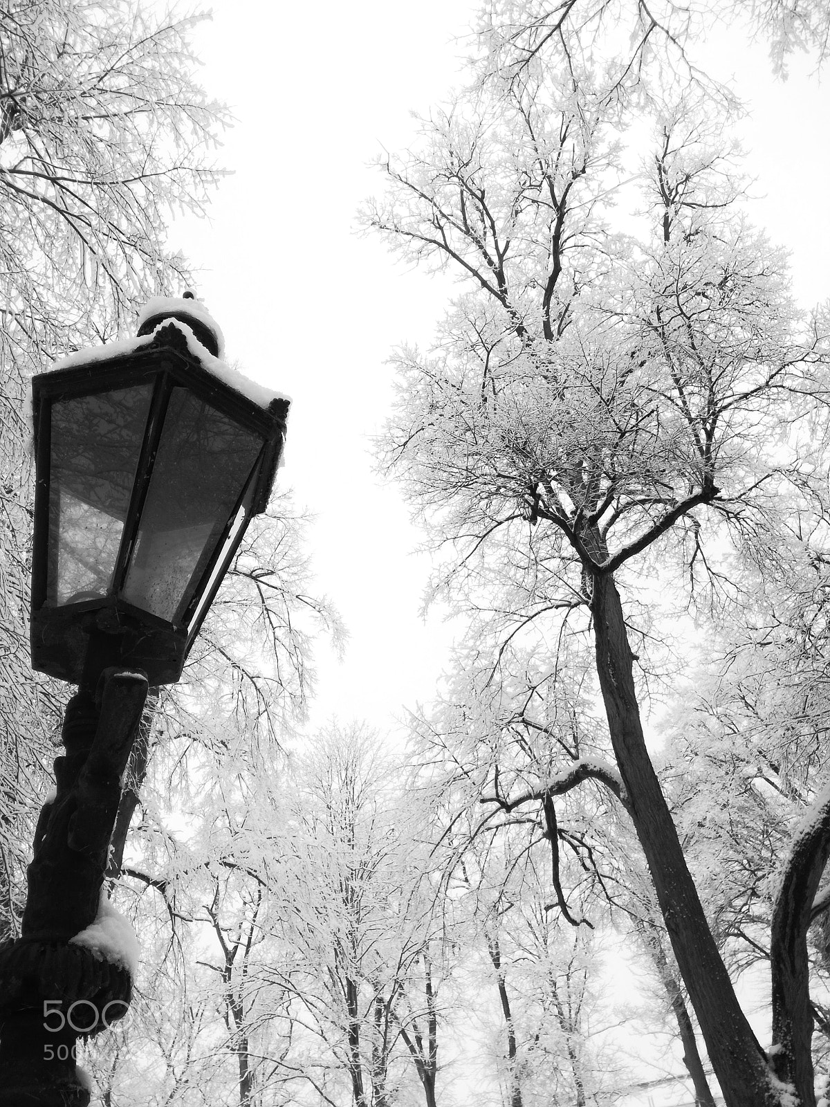 HUAWEI P9 LITE sample photo. Lantern in the park photography