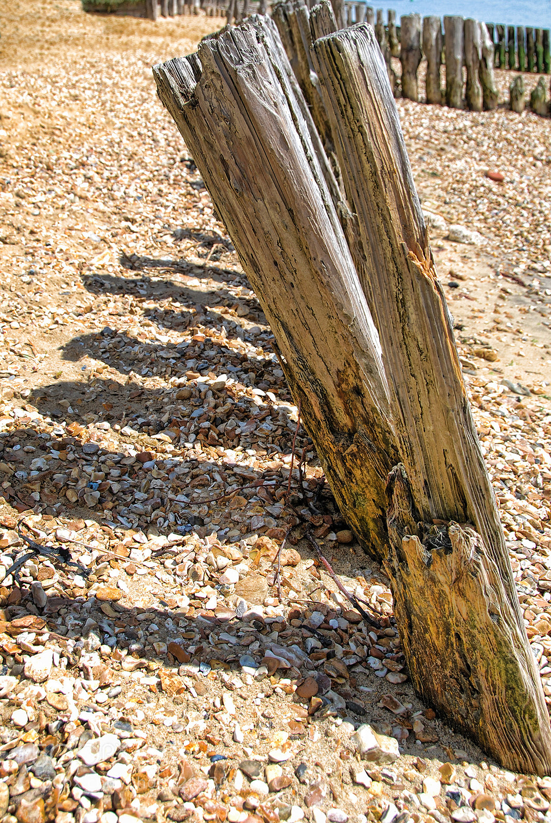 Nikon D40X sample photo. Sea worn piles photography