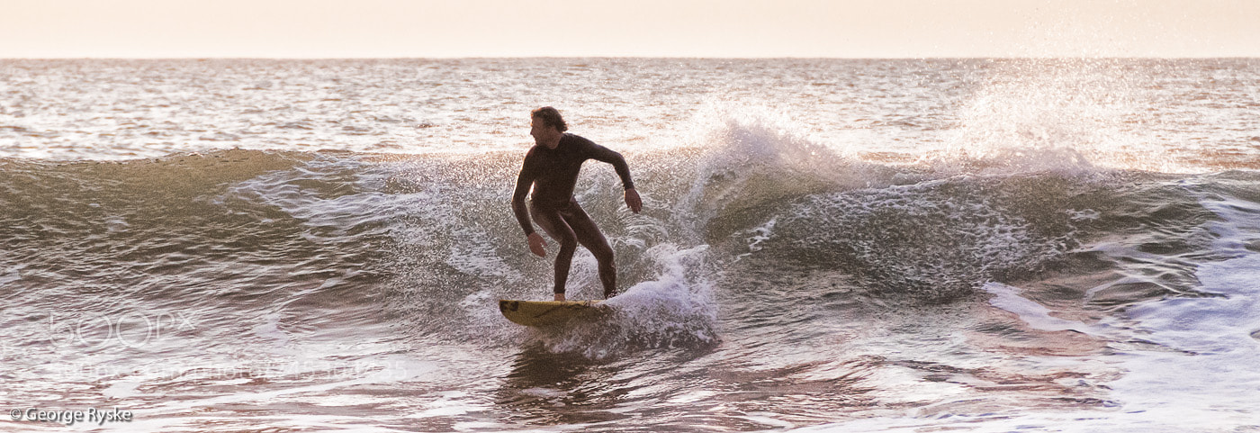 Nikon D300 sample photo. Surfin' safari photography