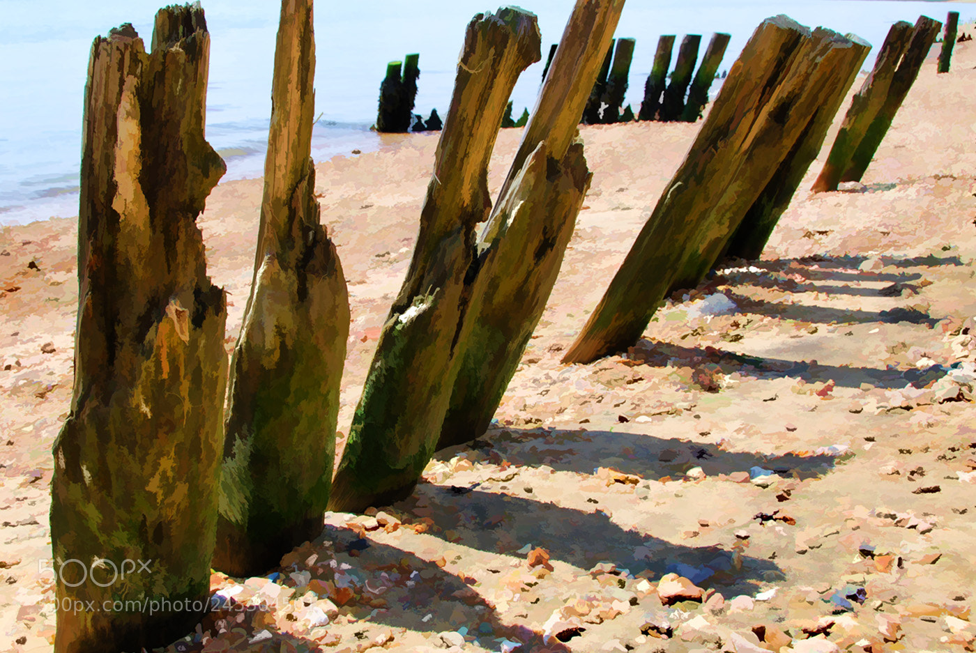 Nikon D40X sample photo. Weather worn piles photography