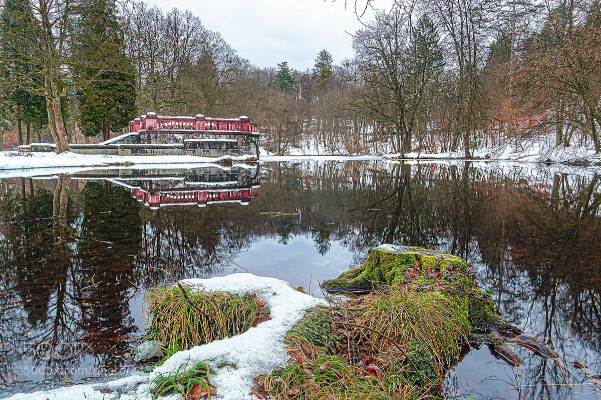 Sony SLT-A68 sample photo. Reflection in the park photography