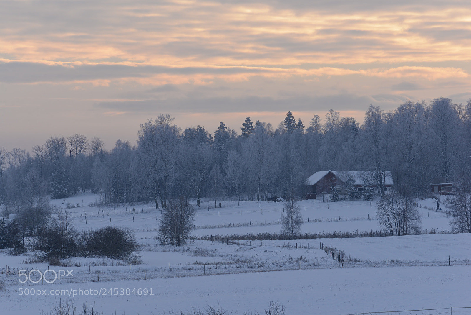 Nikon D610 sample photo. Landscape with a barn photography