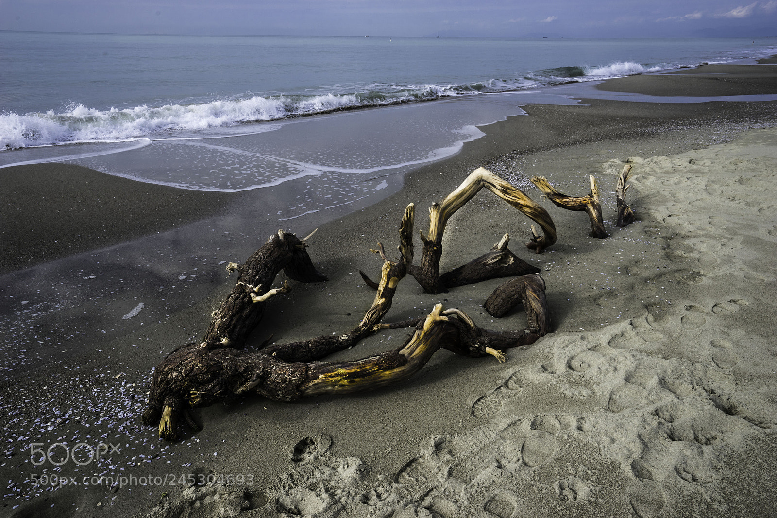 Sony a7 II sample photo. Vecchiano naufraghi a photography