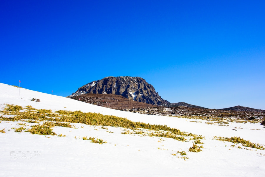 Nikon D810 sample photo. Halla mountain in jeju photography