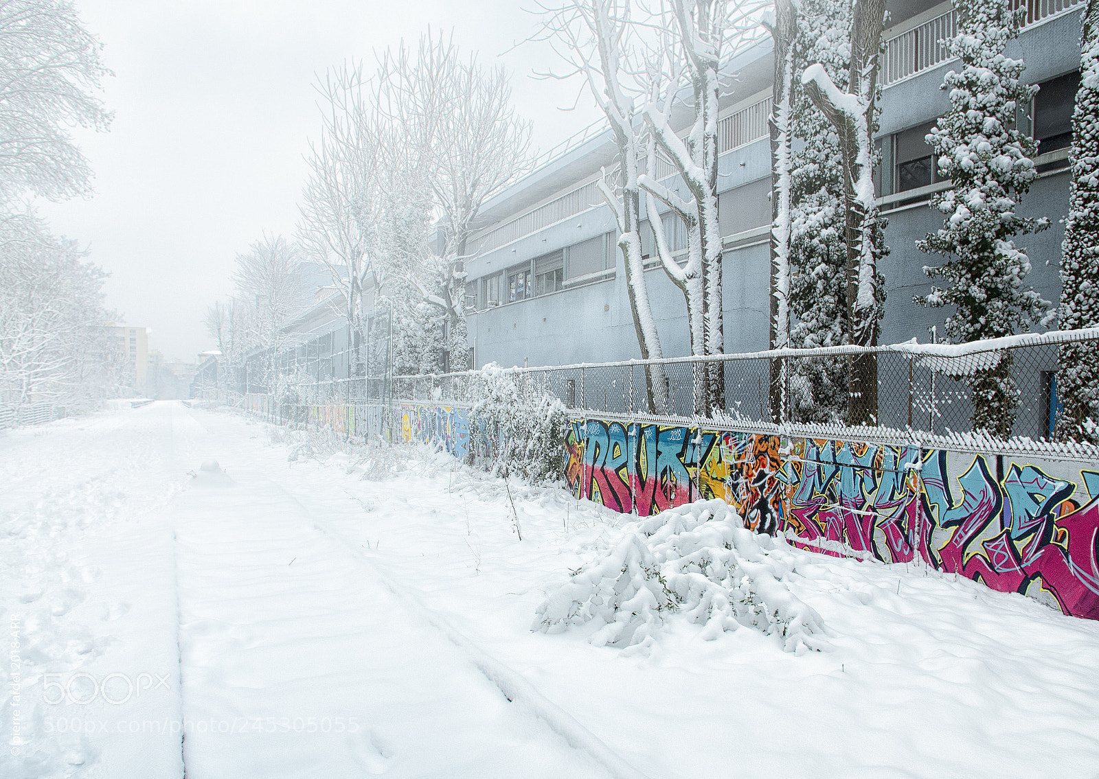 Panasonic Lumix DC-GH5 sample photo. Petite ceinture paris photography