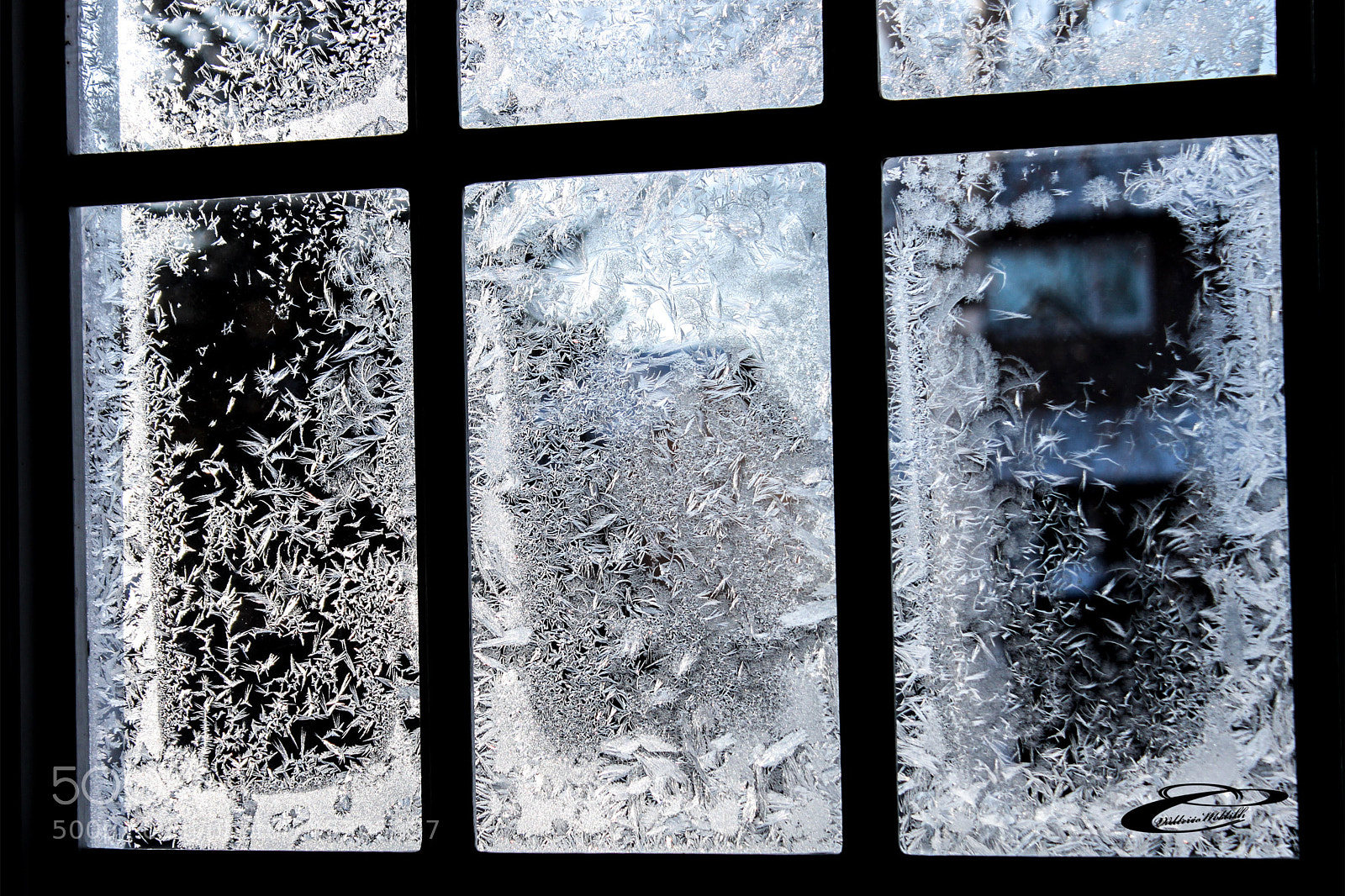 Canon EOS 500D (EOS Rebel T1i / EOS Kiss X3) sample photo. Window frost photography