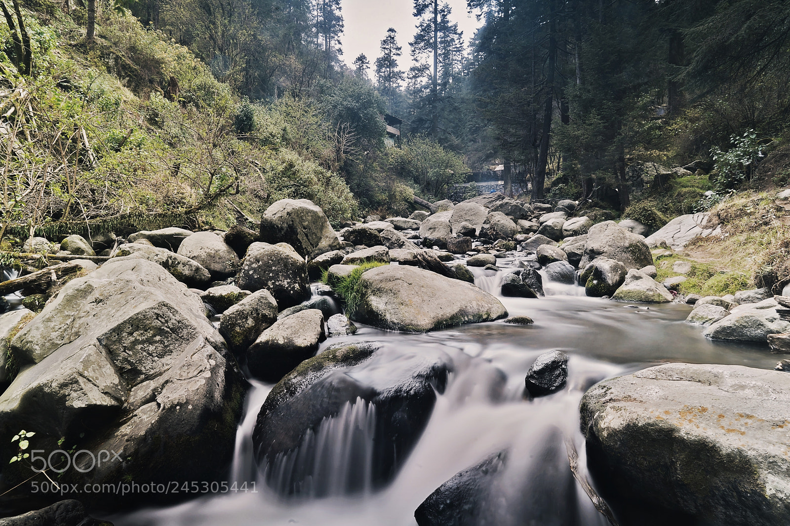 Sony a9 sample photo. Down the river photography