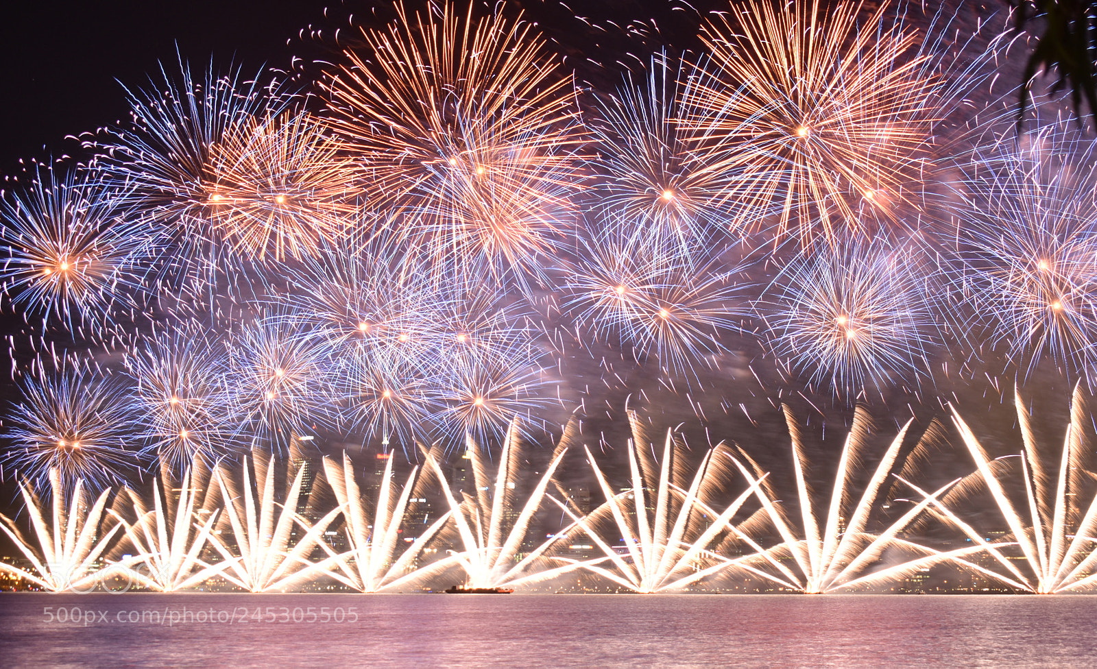 Nikon D5600 sample photo. Fireworks on australia day photography
