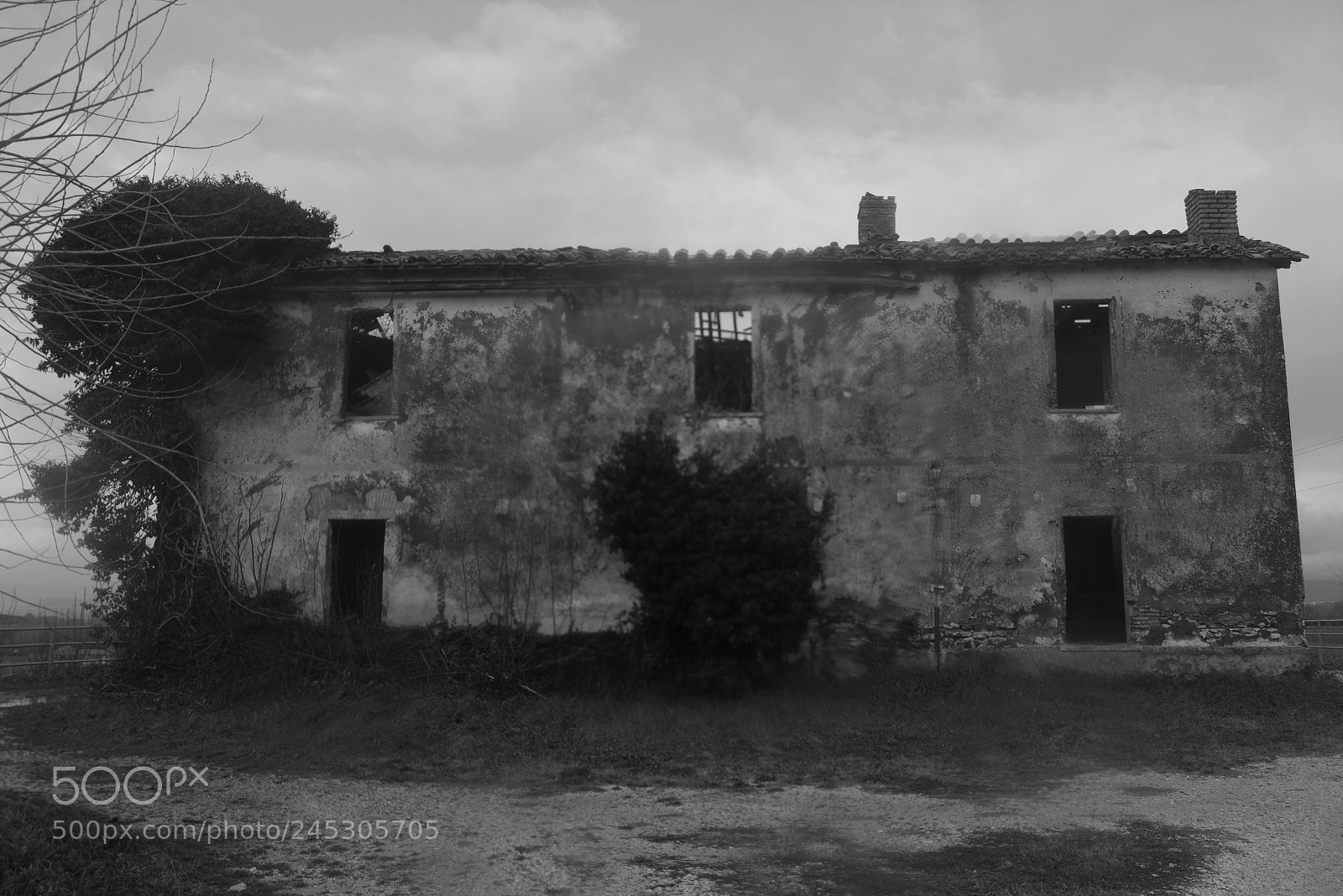Nikon D7100 sample photo. Sinister photography