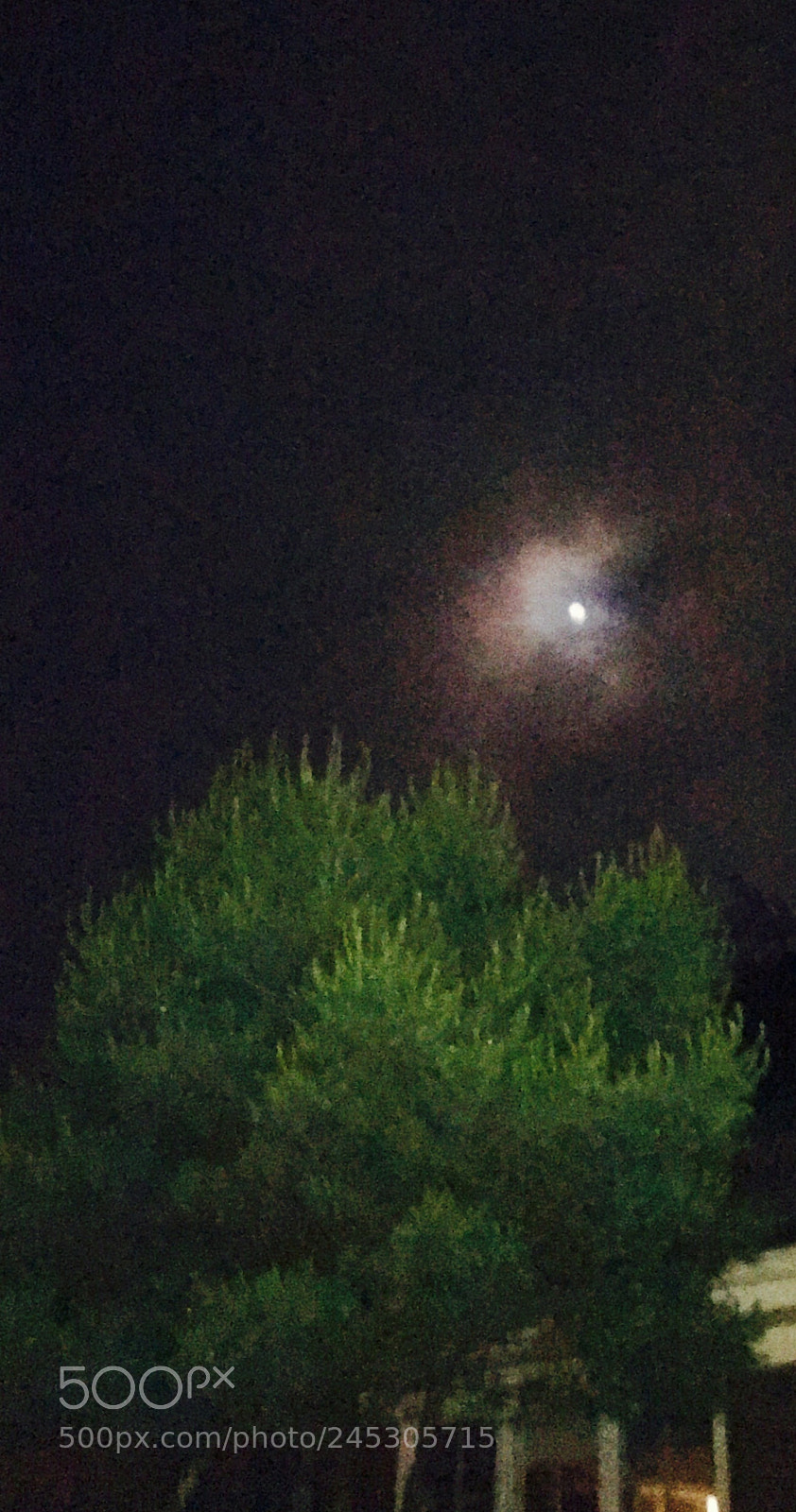 Apple iPhone 6s Plus sample photo. Untitled photography