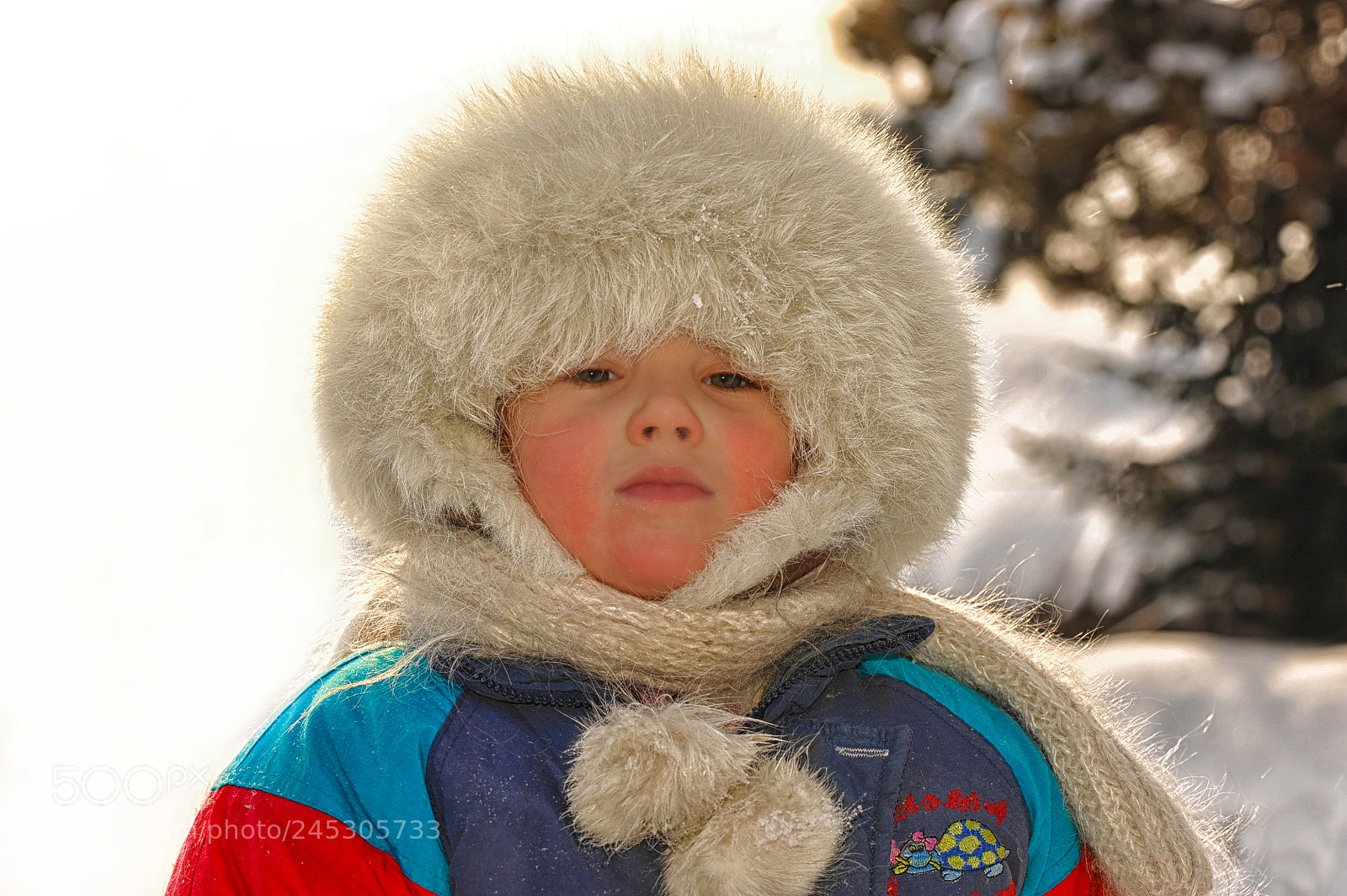 Nikon D700 sample photo. а photography