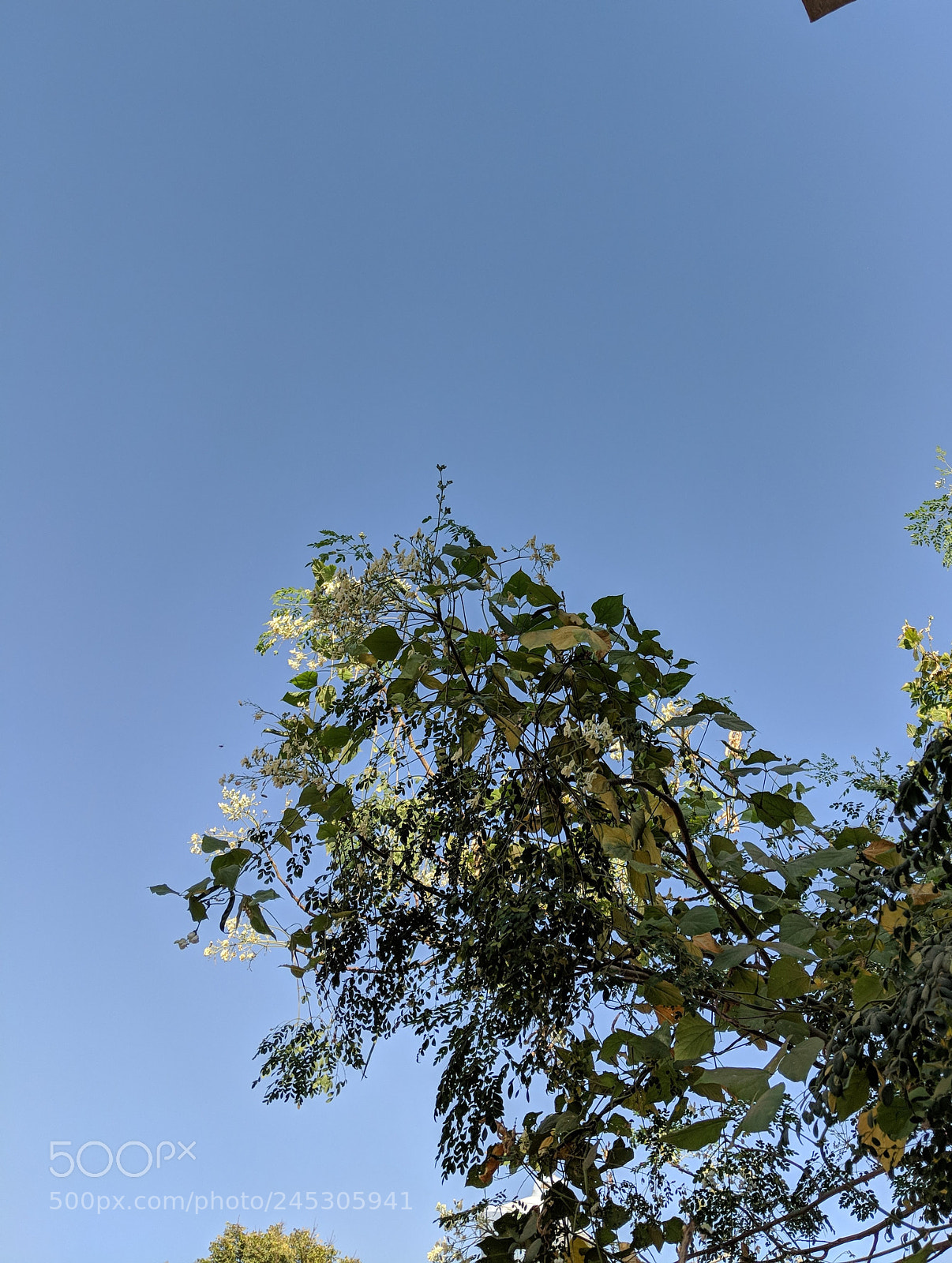 Google Pixel 2 sample photo. Untitled photography