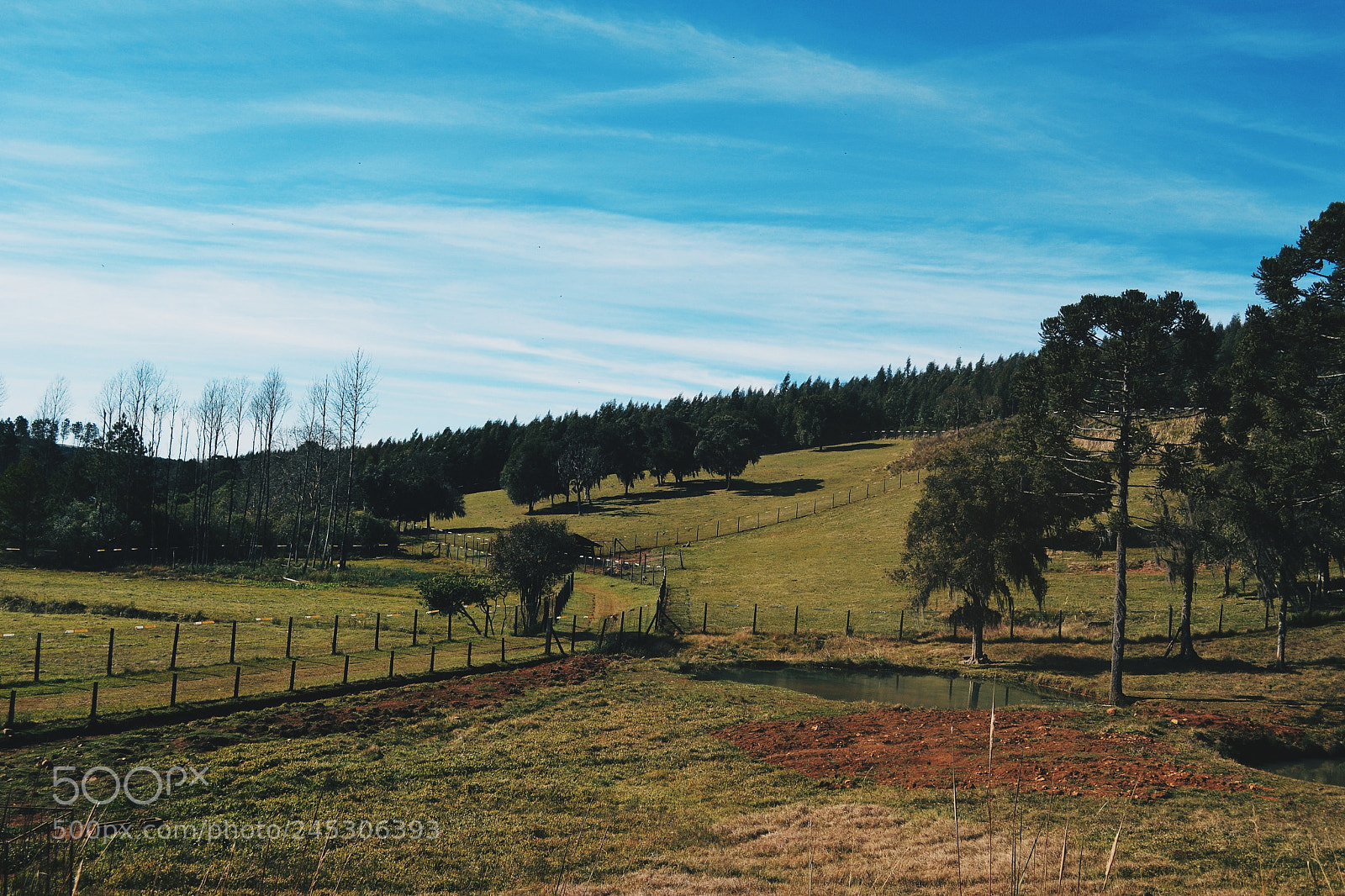 Nikon D5100 sample photo. Processed with vsco with photography