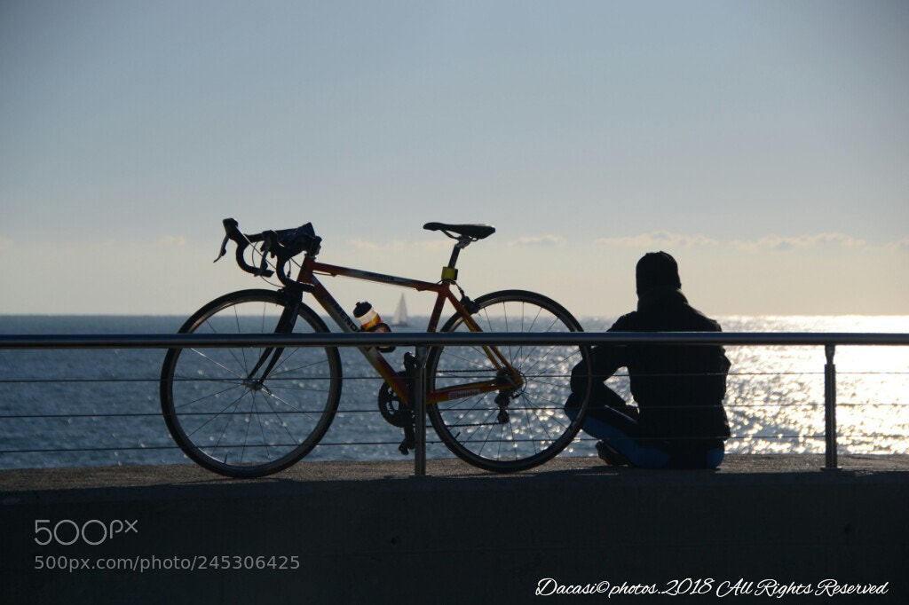 Nikon D3100 sample photo. Untitled photography