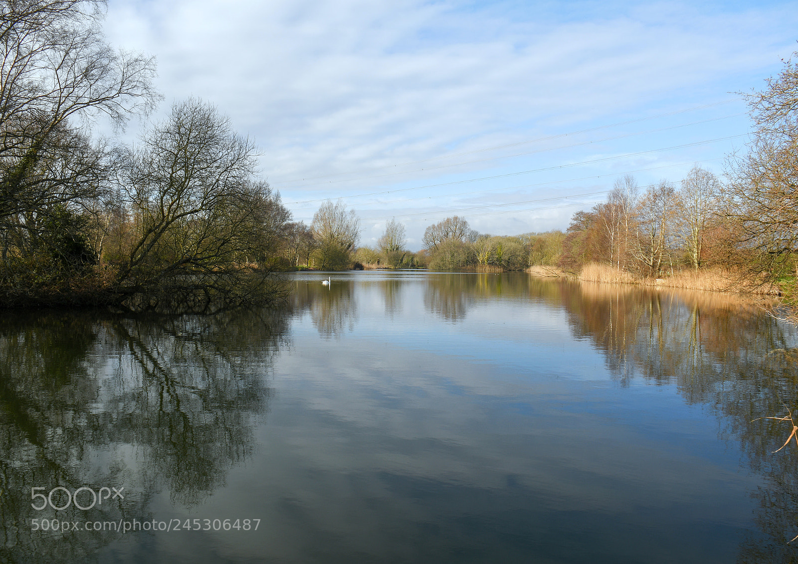 Nikon D500 sample photo. Pallington lakes photography
