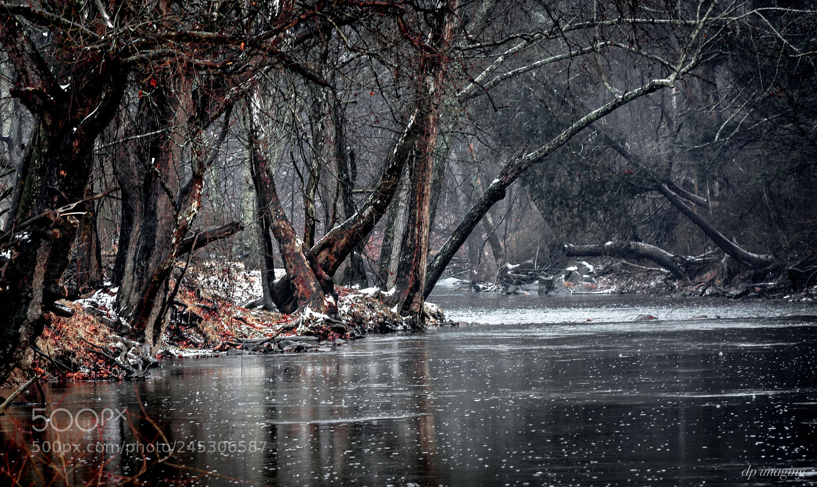 Nikon D7100 sample photo. Winter on reed creek photography