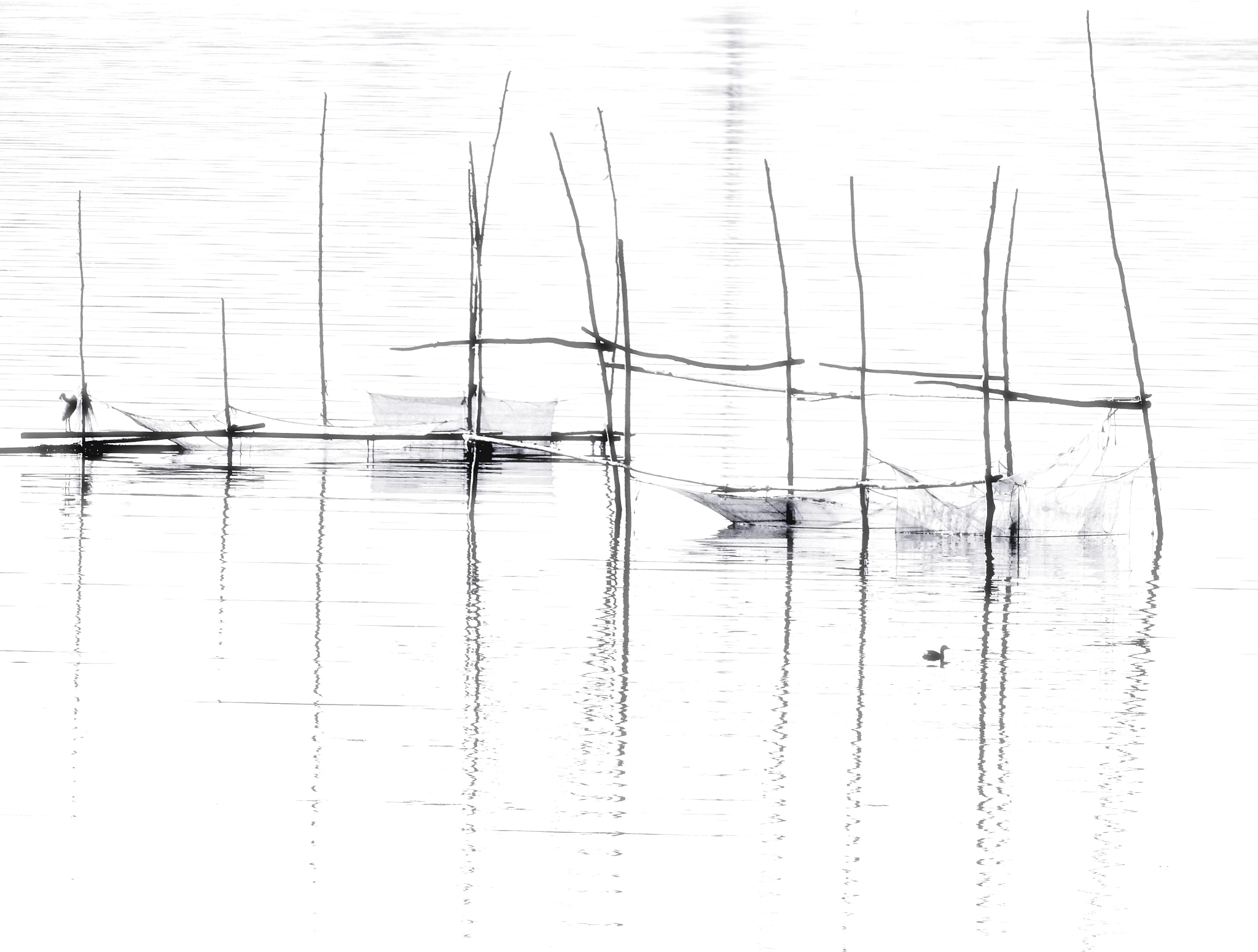 Nikon COOLPIX P900s sample photo. Water surface photography