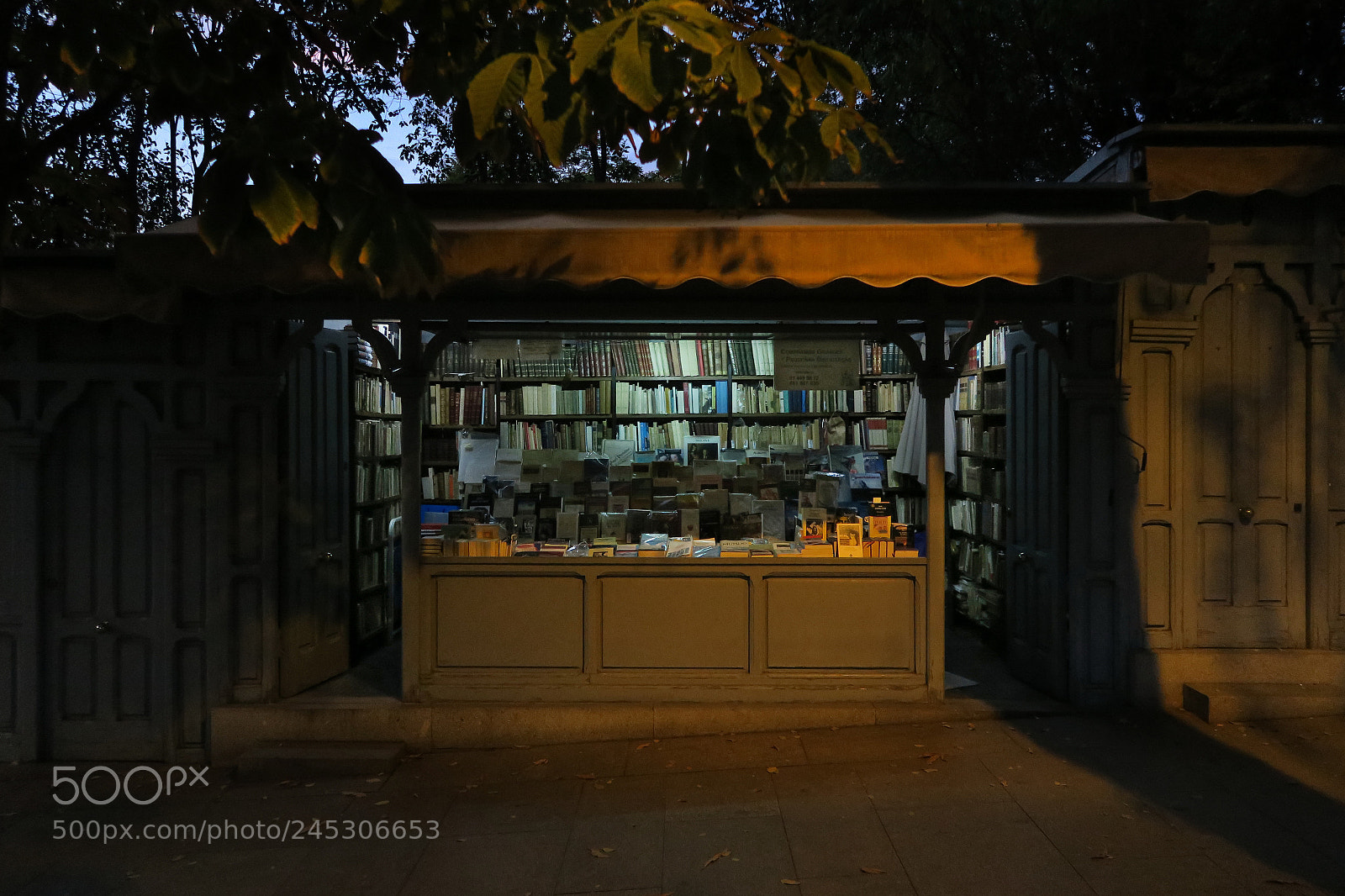 Canon PowerShot G7 X sample photo. Permanent street book fair photography