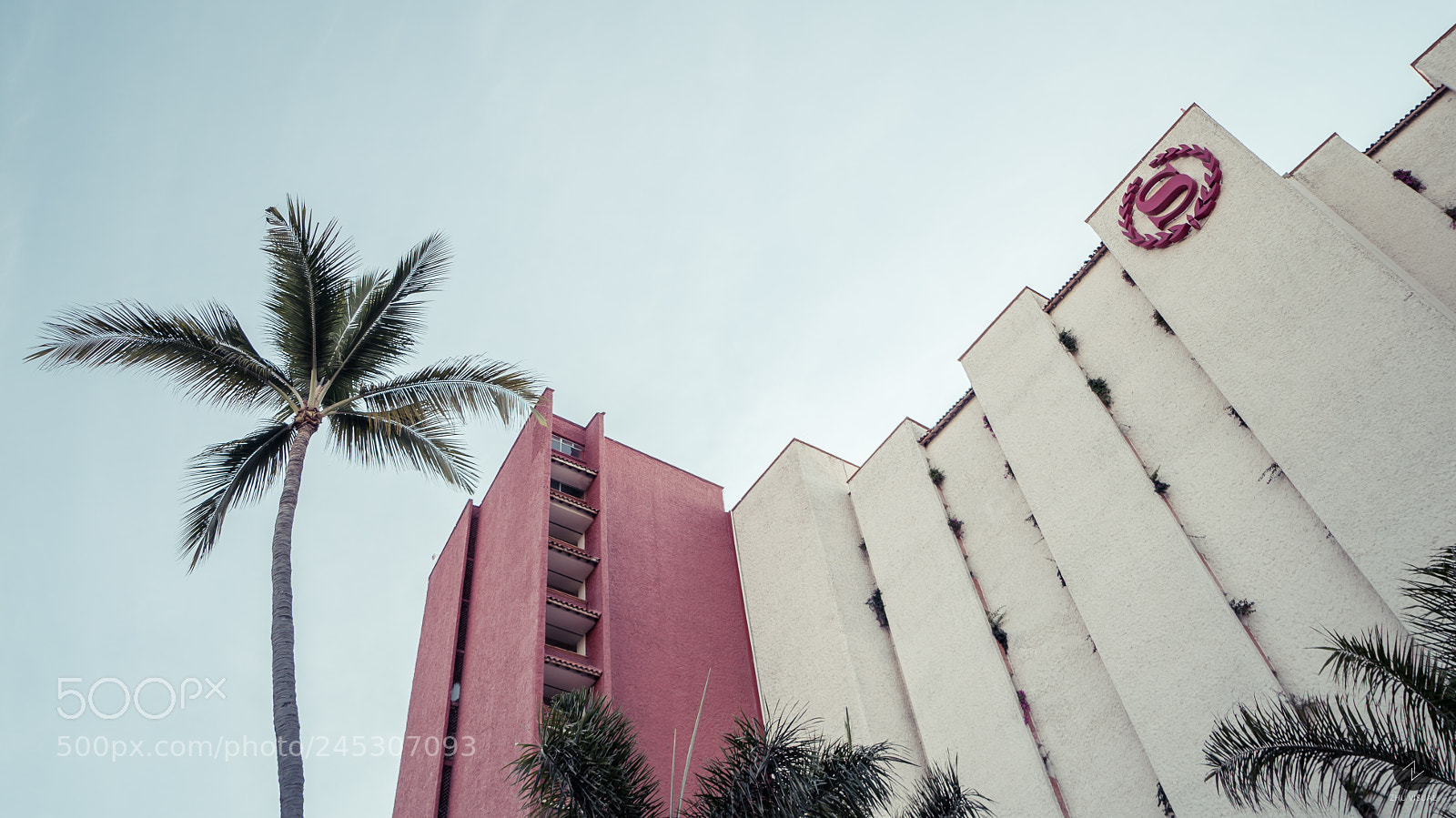 Sony a7S II sample photo. Dsc photography