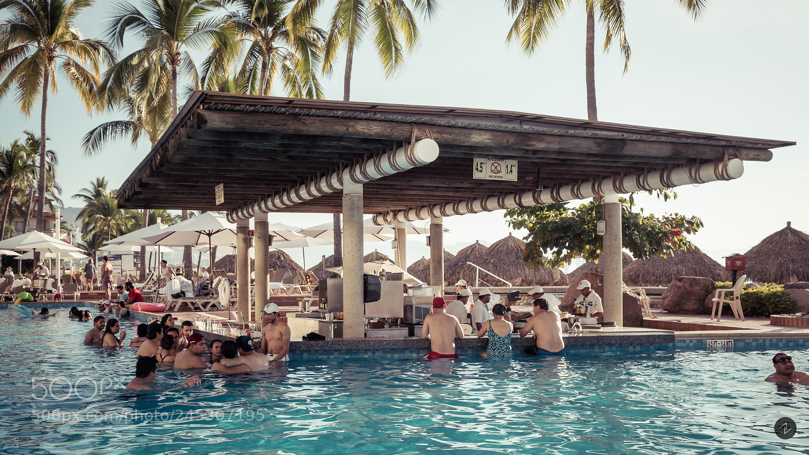 Sony a7S II sample photo. Dsc photography