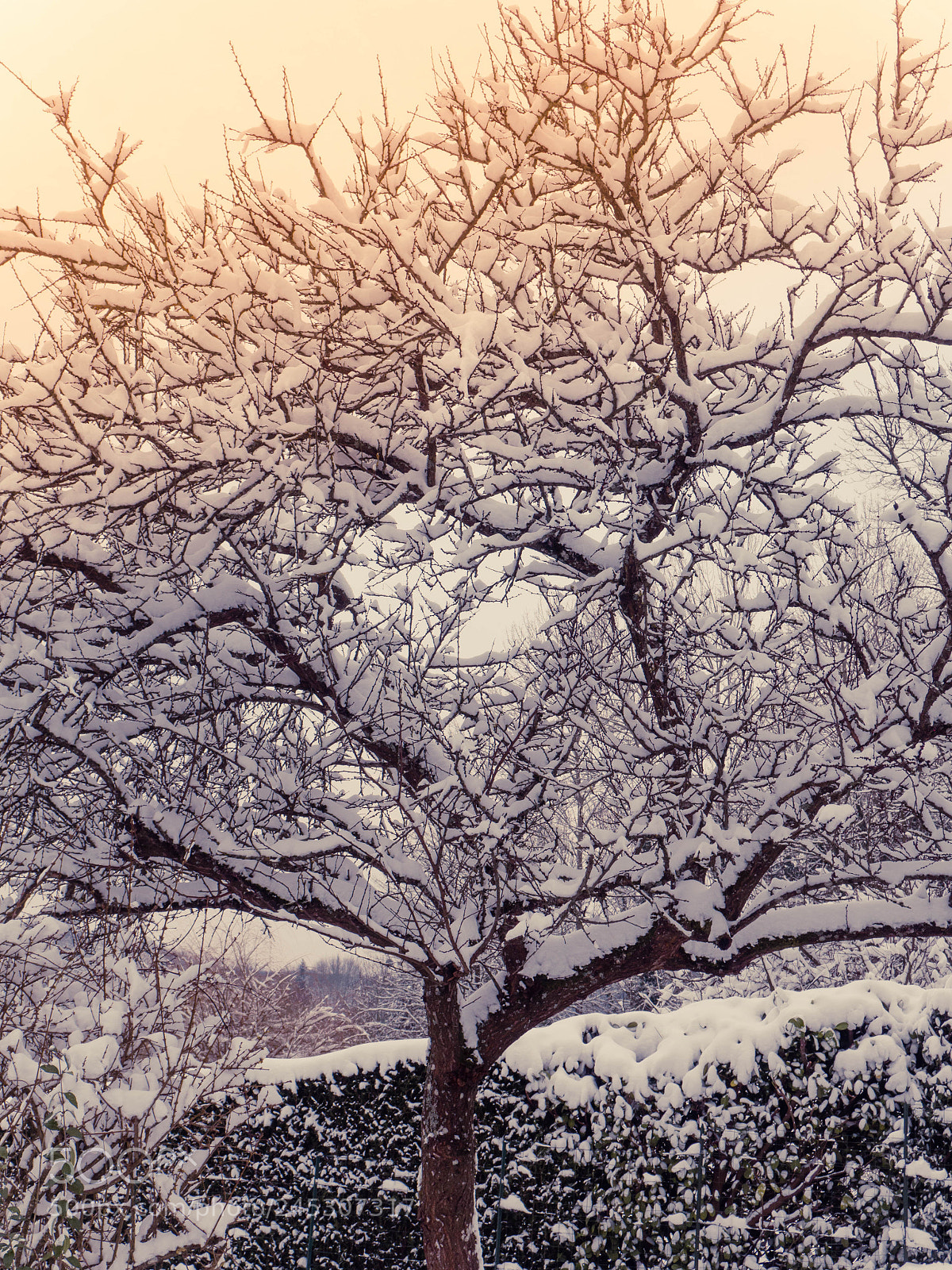 Olympus OM-D E-M10 sample photo. Neige photography