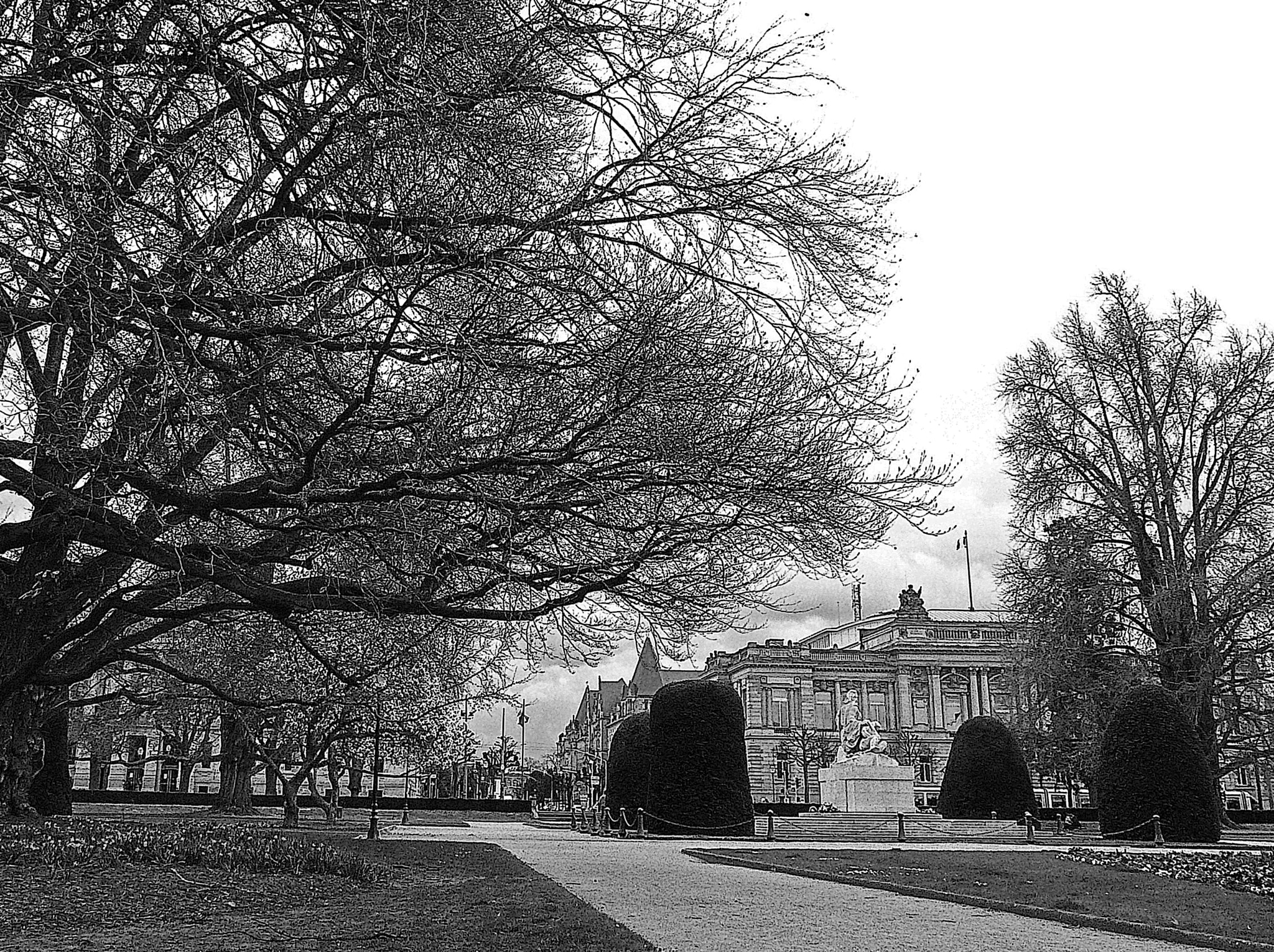Leica V-Lux 20 sample photo. Without leaves photography