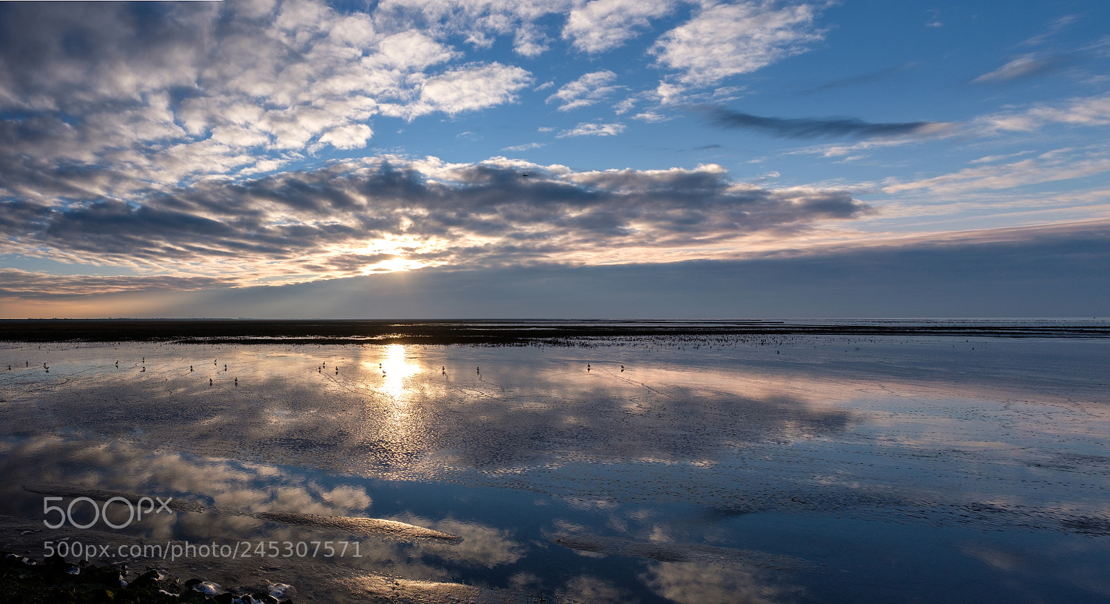 Fujifilm X100F sample photo. Cloudy waddensea photography