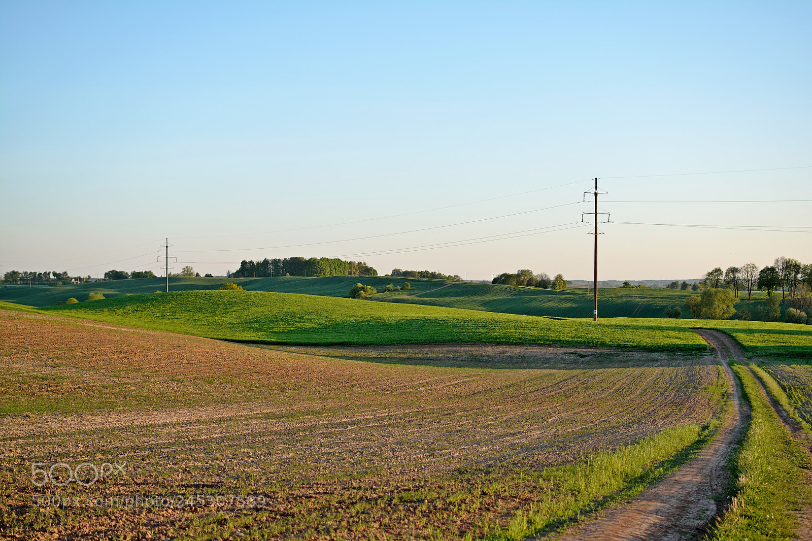 Nikon D5200 sample photo. Fields photography