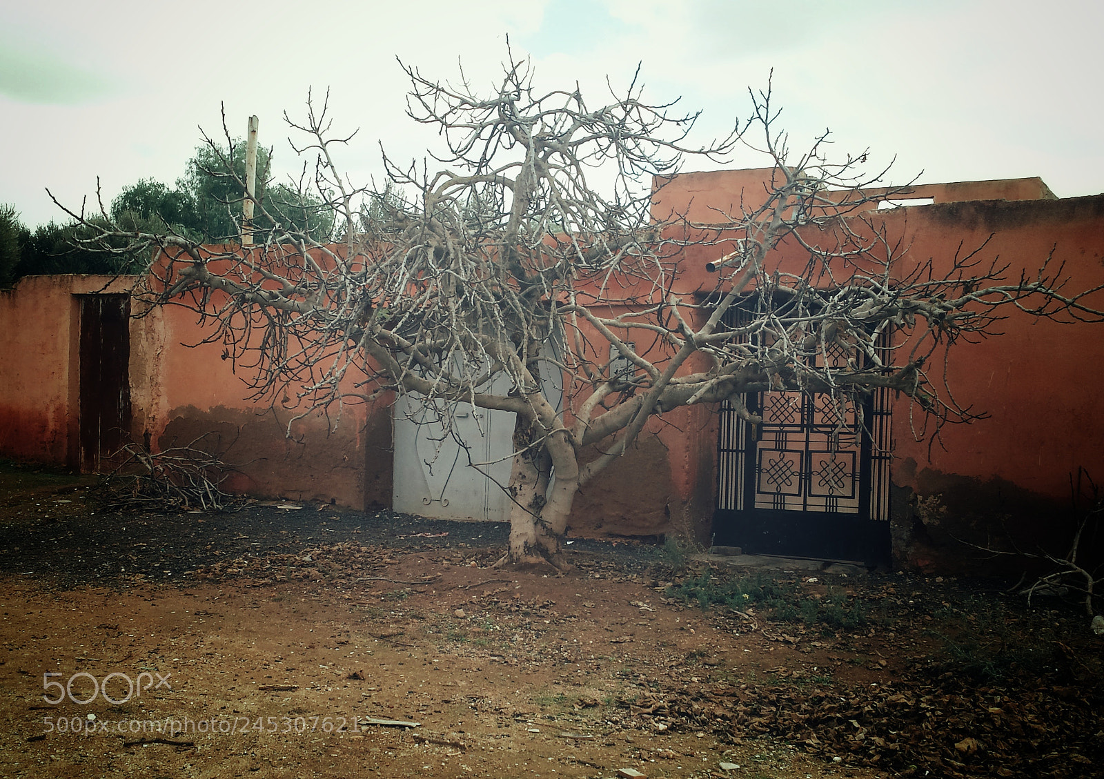 Samsung Galaxy S4 sample photo. Tree & cottage photography