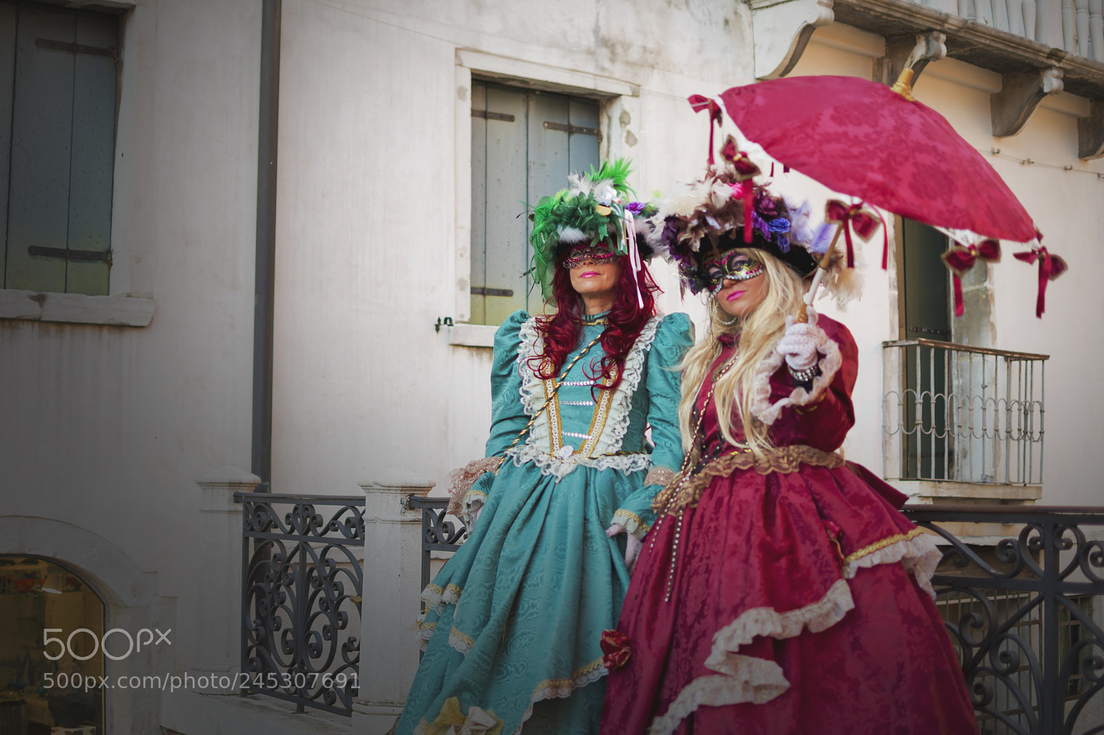 Nikon D5500 sample photo. Carnival damsels photography