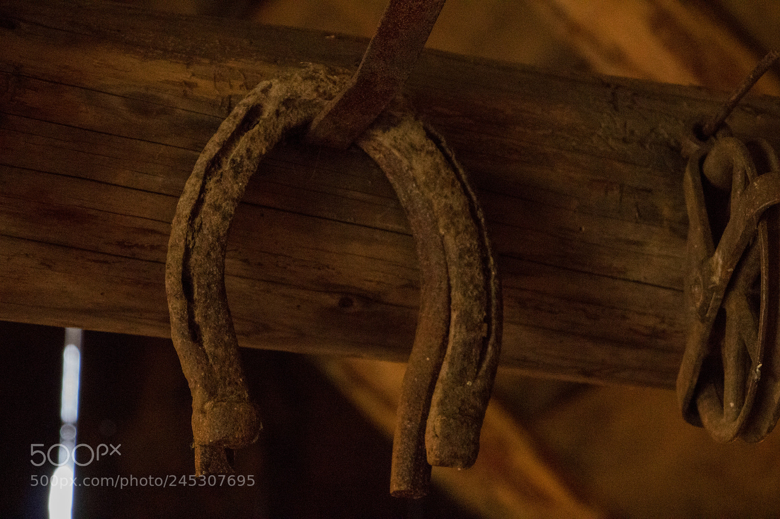 Canon EOS 750D (EOS Rebel T6i / EOS Kiss X8i) sample photo. Horse shoes photography