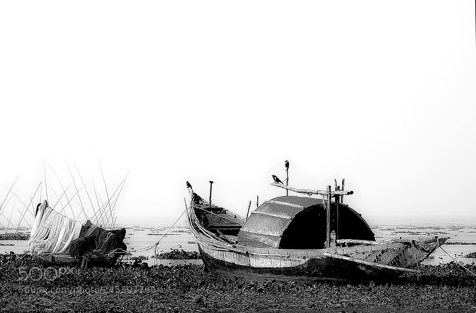 Nikon D7100 sample photo. Untitled photography