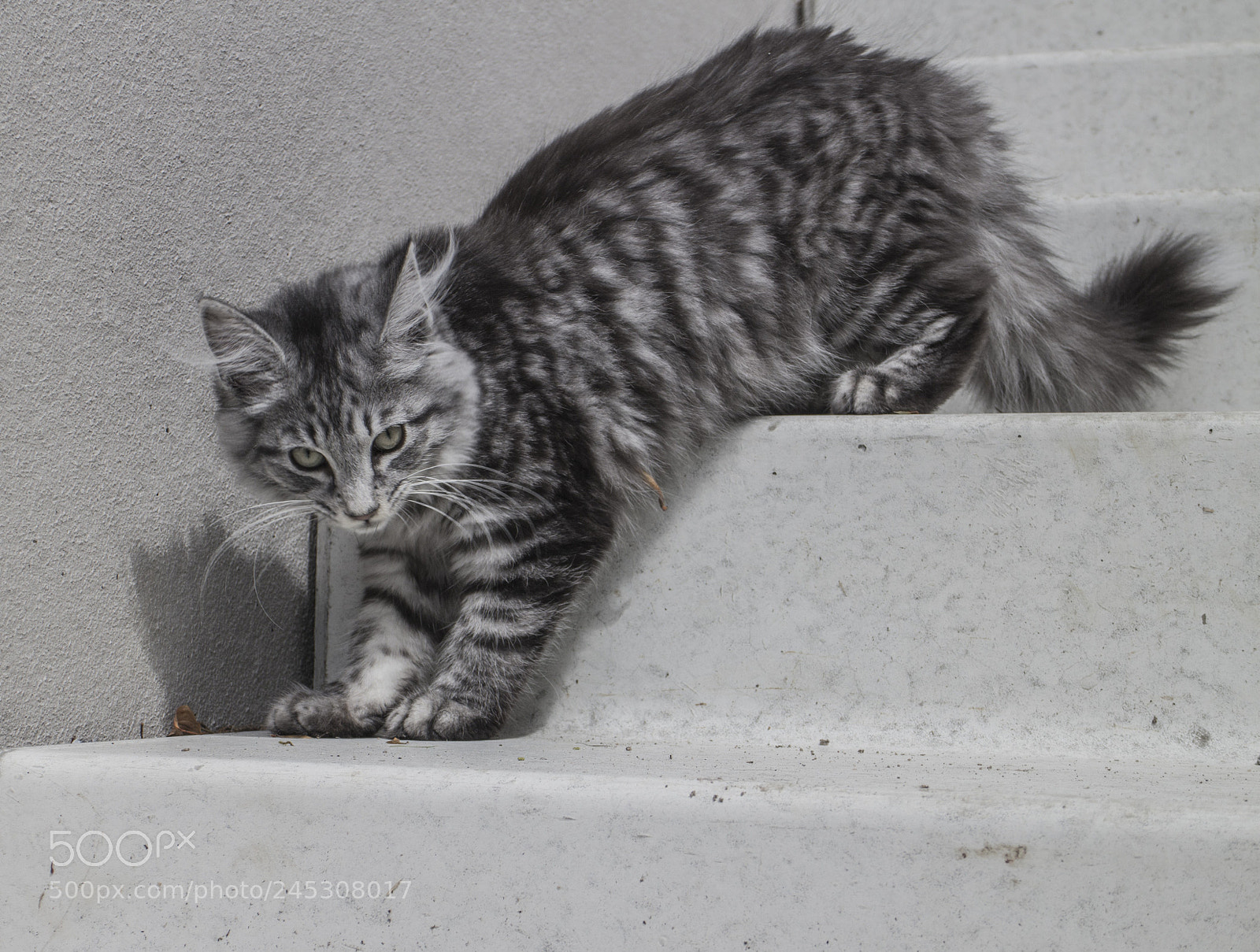 Canon EOS M sample photo. Bw photography