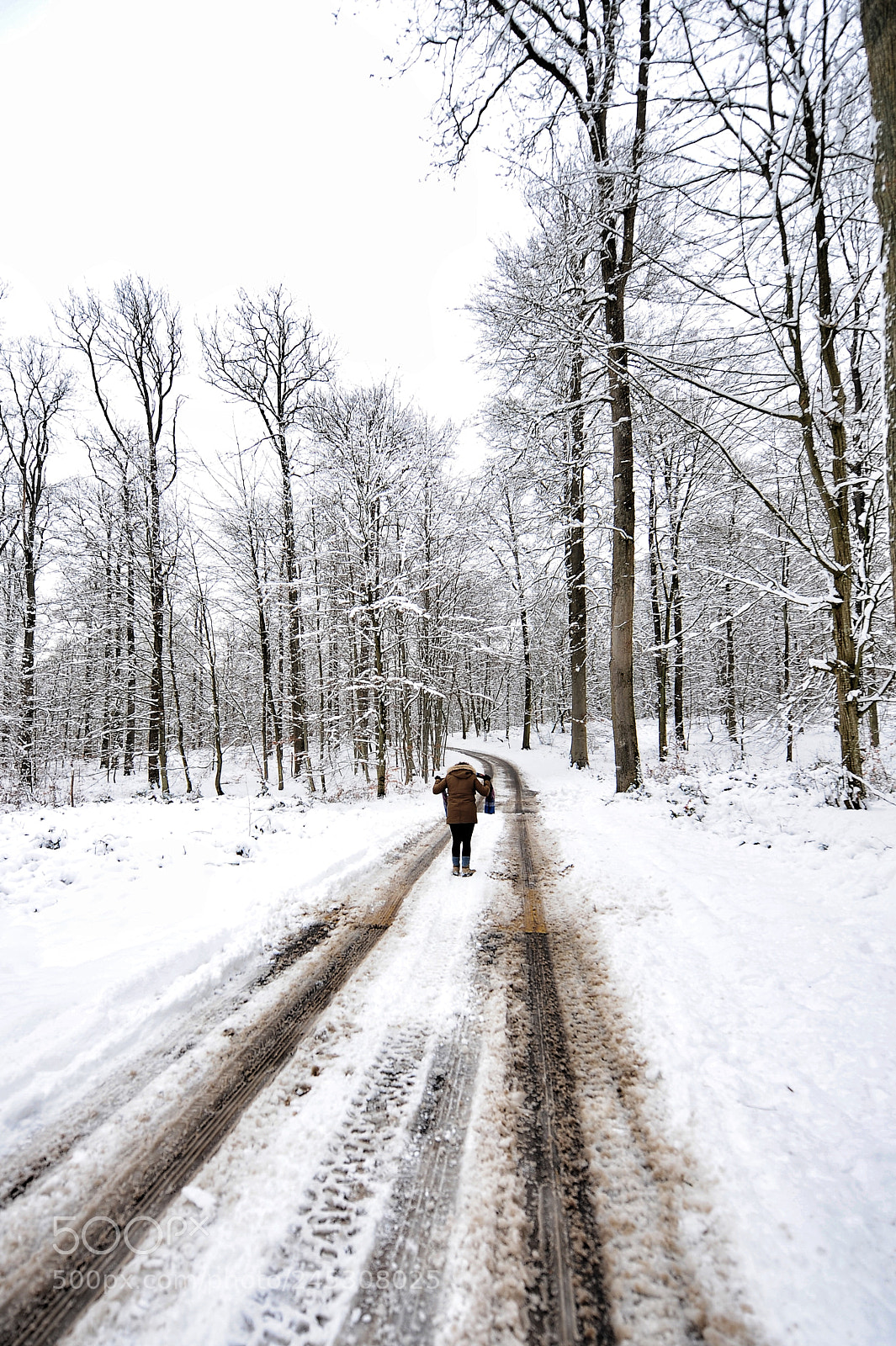 Nikon D3 sample photo. Snowy days photography